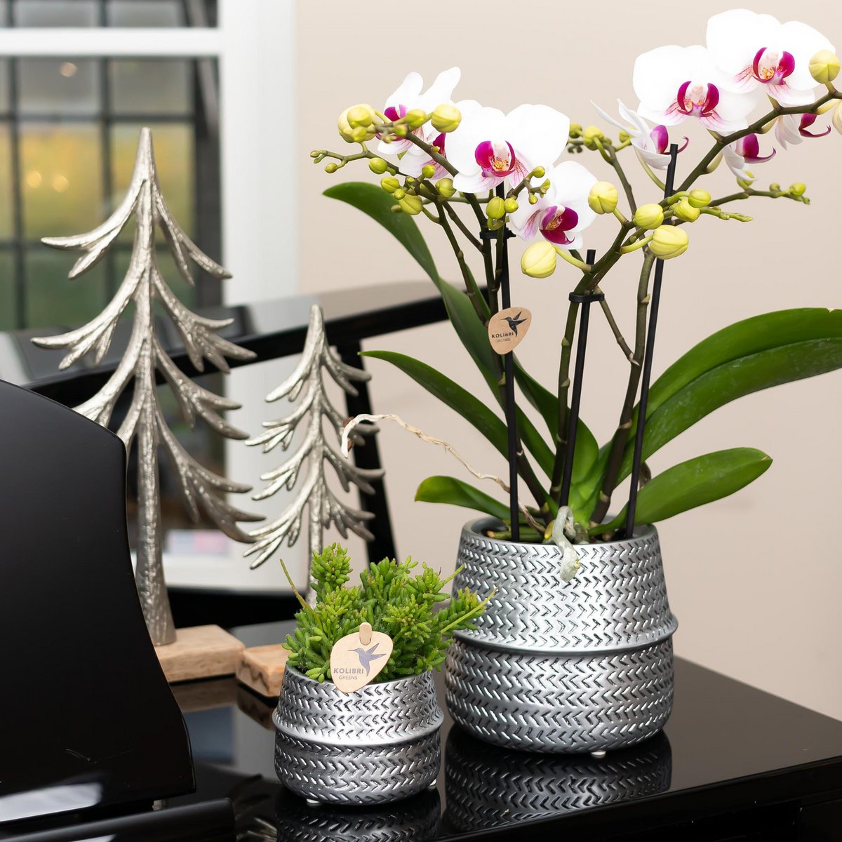 Zilveren Groove bloempot voor orchidee – keramische sierpot Ø9 cm