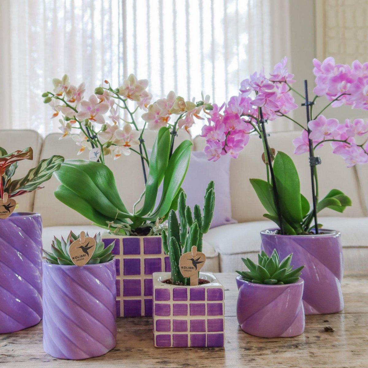 Lila Candy bloempot voor orchidee – keramische sierpot Ø9 cm
