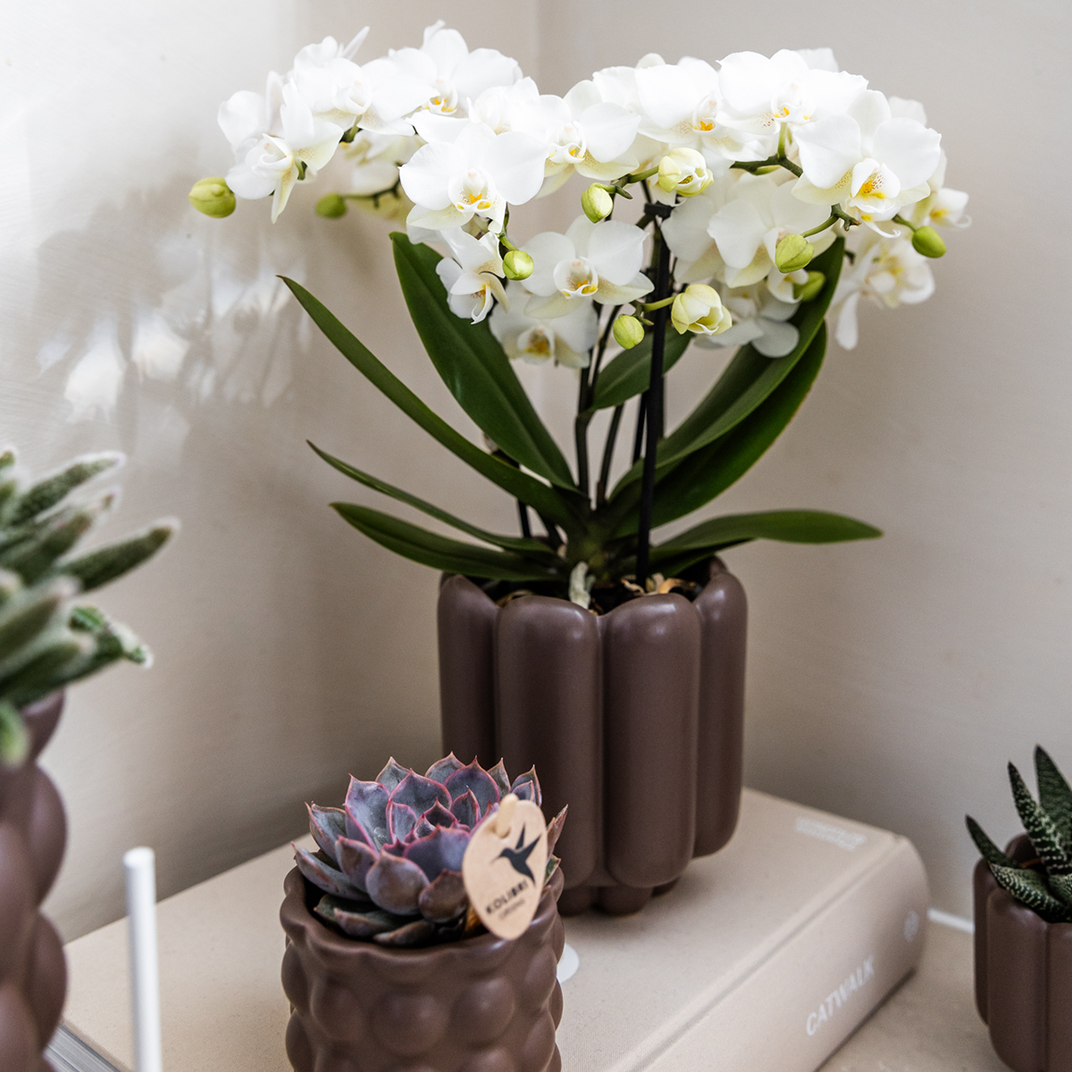 Bruine Retro bloempot voor orchidee – keramische sierpot Ø9 cm