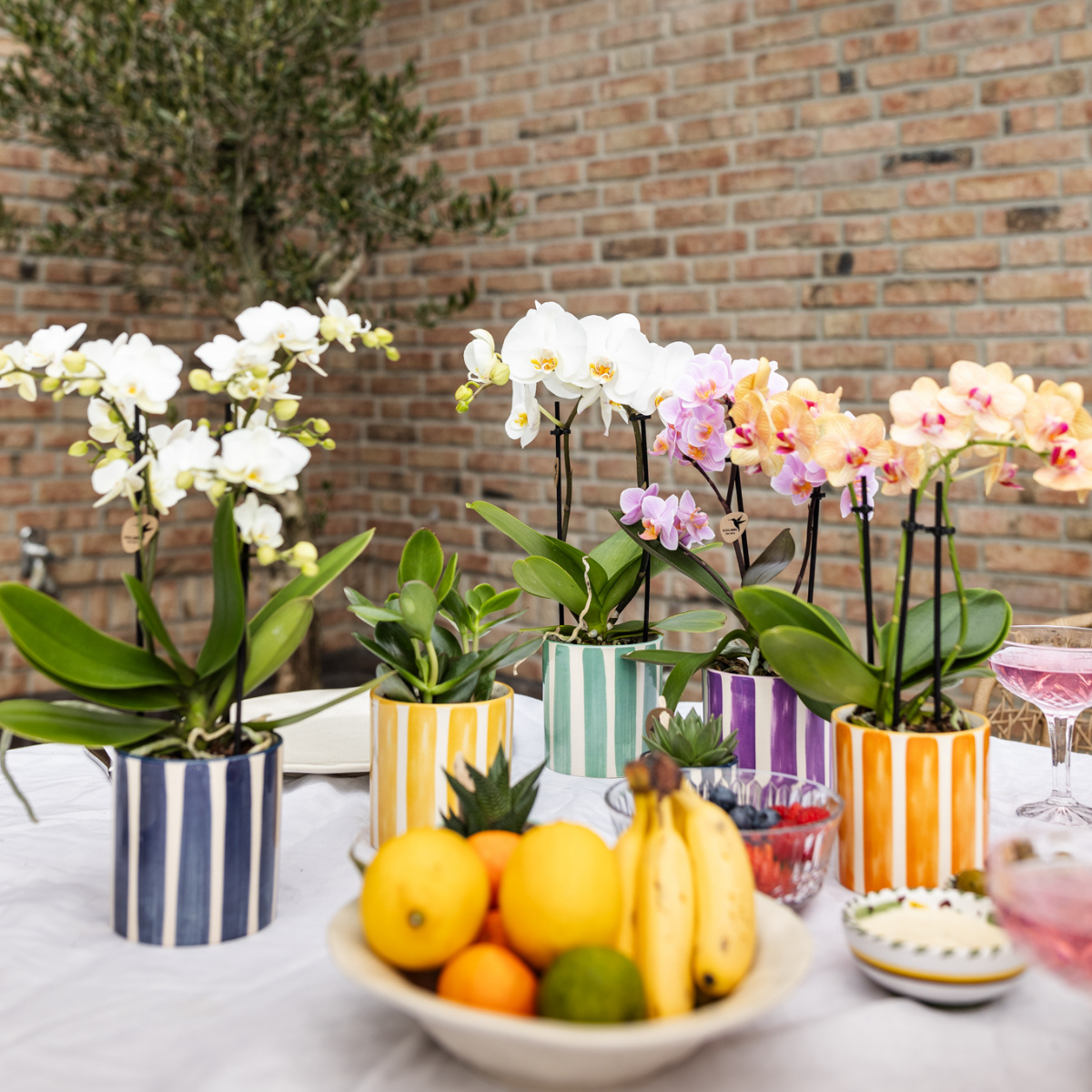 Oranje Painted Stripe bloempot voor orchidee – keramische sierpot Ø9 cm