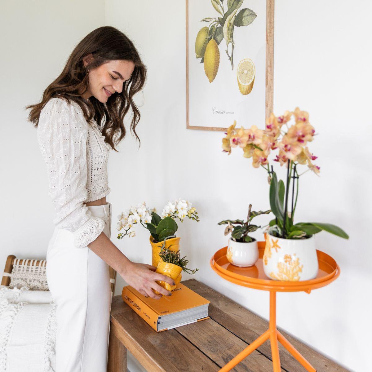 Gele Fish bloempot voor orchidee – keramische sierpot Ø9 cm