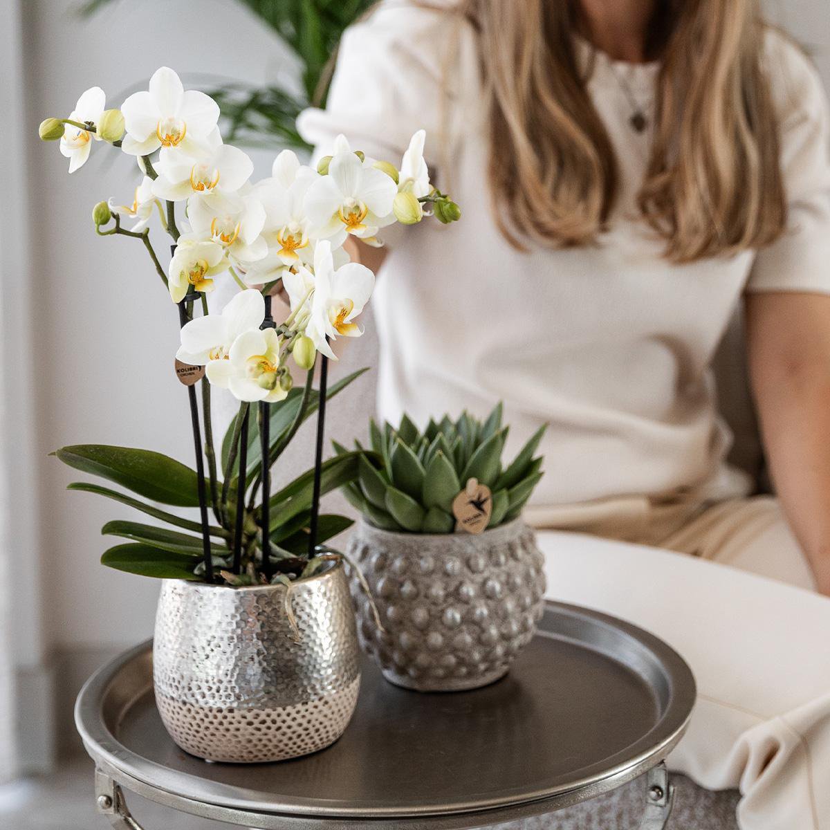 Zilveren Elite bloempot voor orchidee – keramische sierpot Ø12 cm