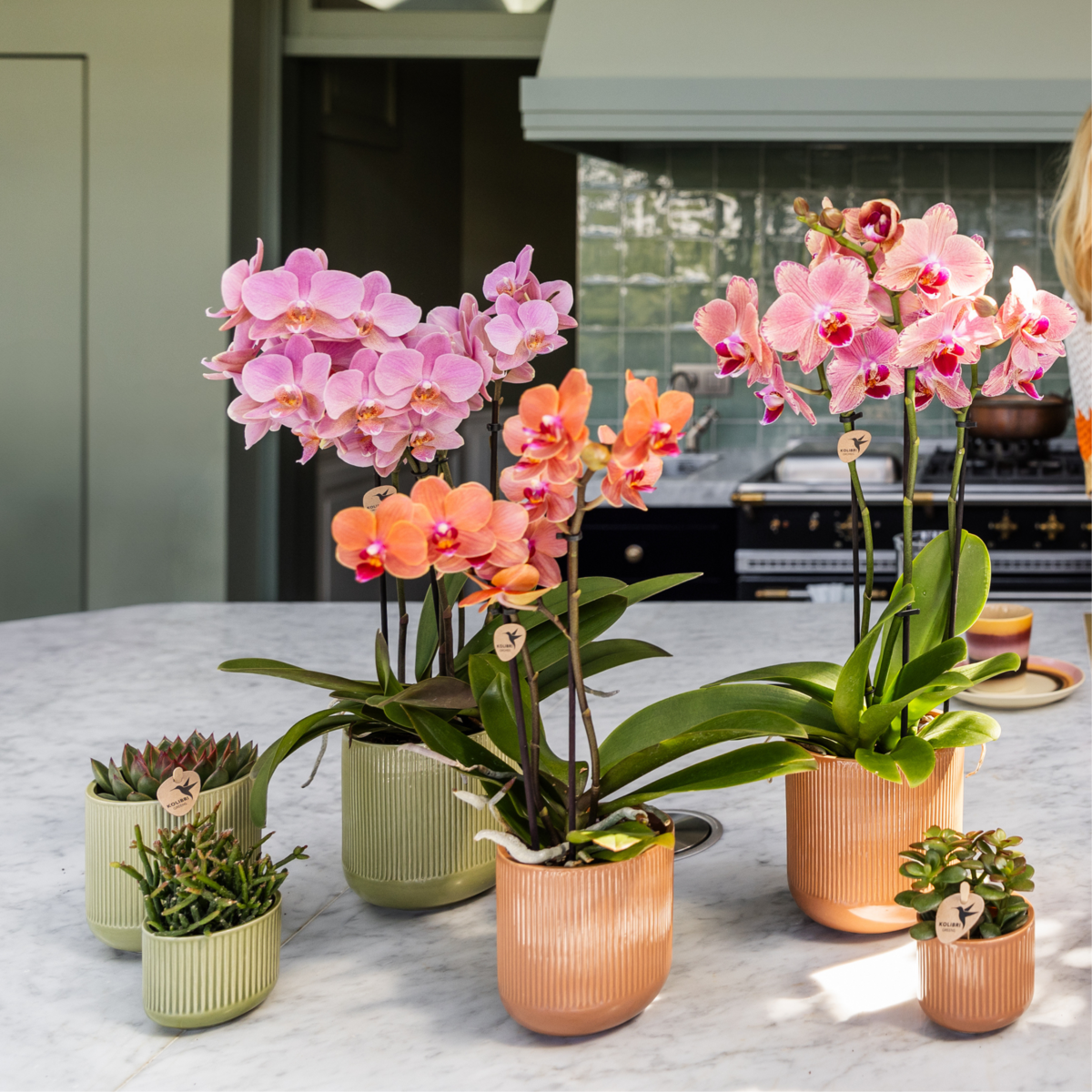Groene Flare bloempot voor orchidee – keramische sierpot Ø12 cm