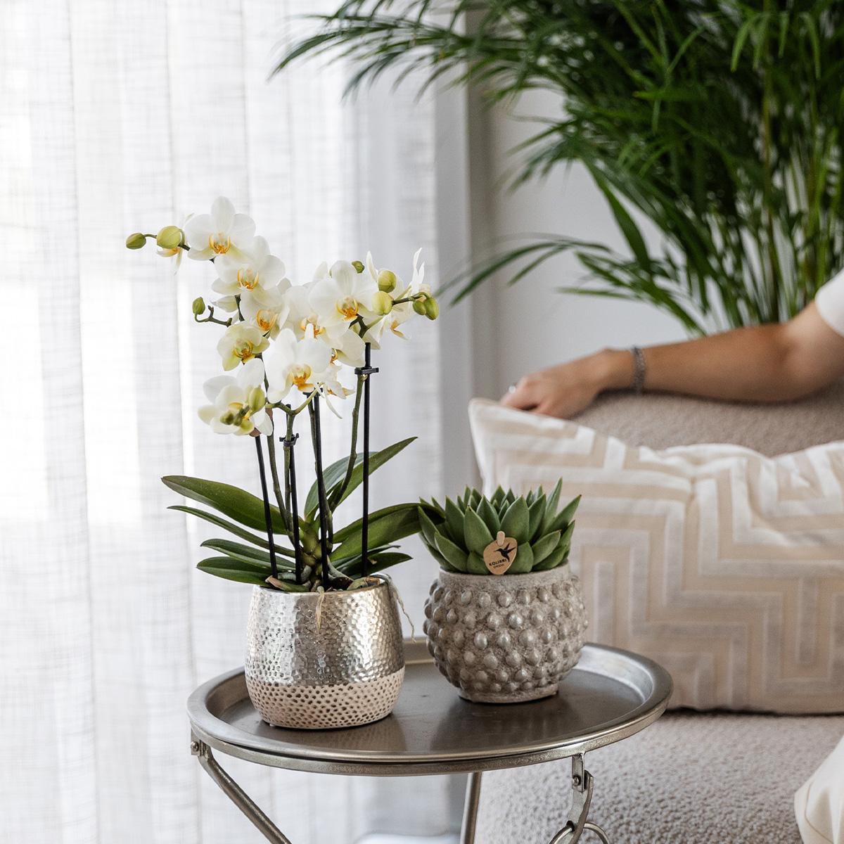 Zilveren Elite bloempot voor orchidee – keramische sierpot Ø9 cm
