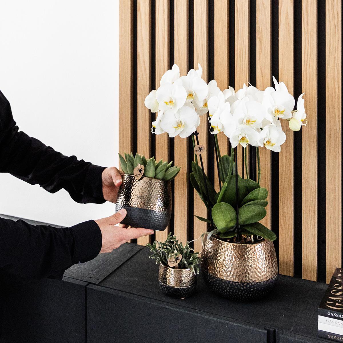 Koperen Elite bloempot voor orchidee – keramische sierpot Ø9 cm