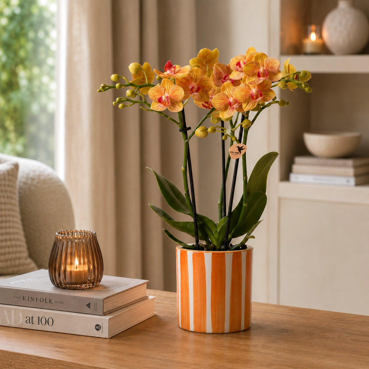 Oranje Phalaenopsis orchidee ‘Jamaica’ met Painted Stripe sierpot in oranje – Ø9 cm