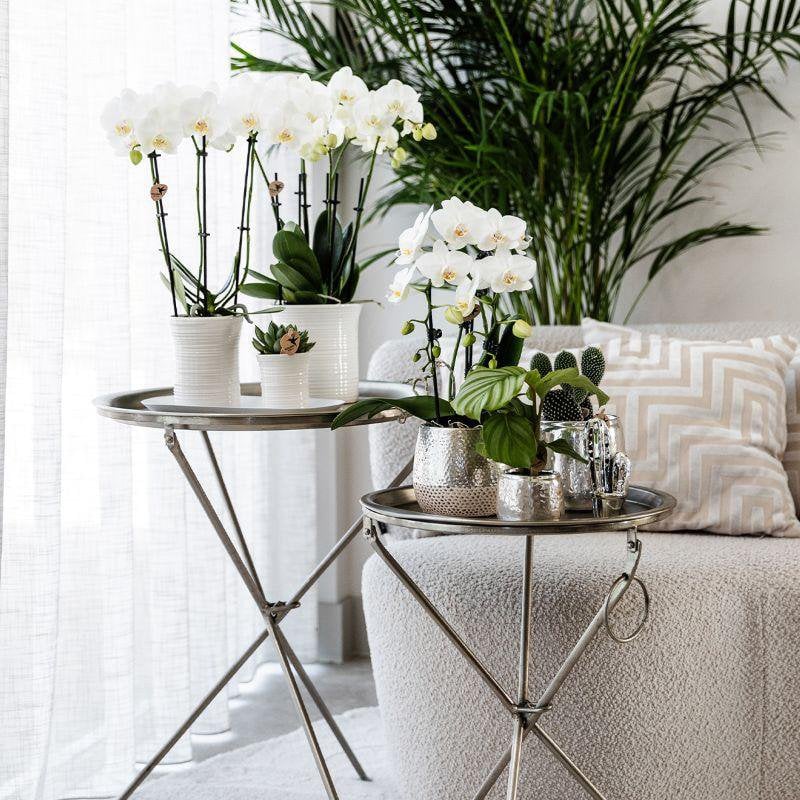 Zilveren Elite bloempot voor orchidee – keramische sierpot Ø12 cm
