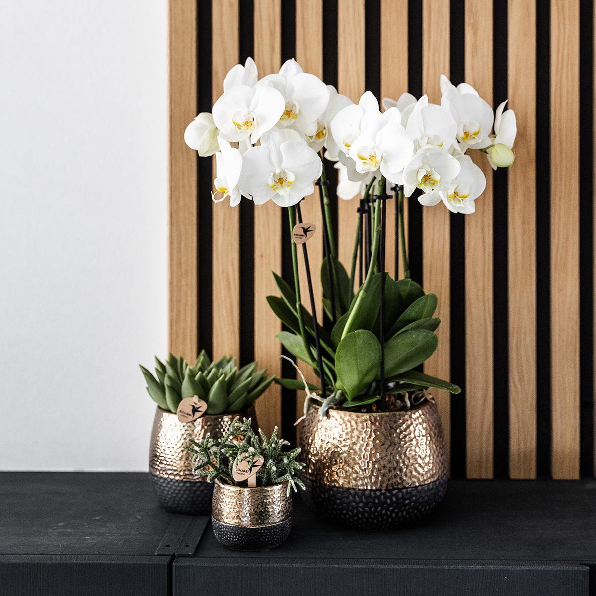 Koperen Elite bloempot voor orchidee – keramische sierpot Ø9 cm