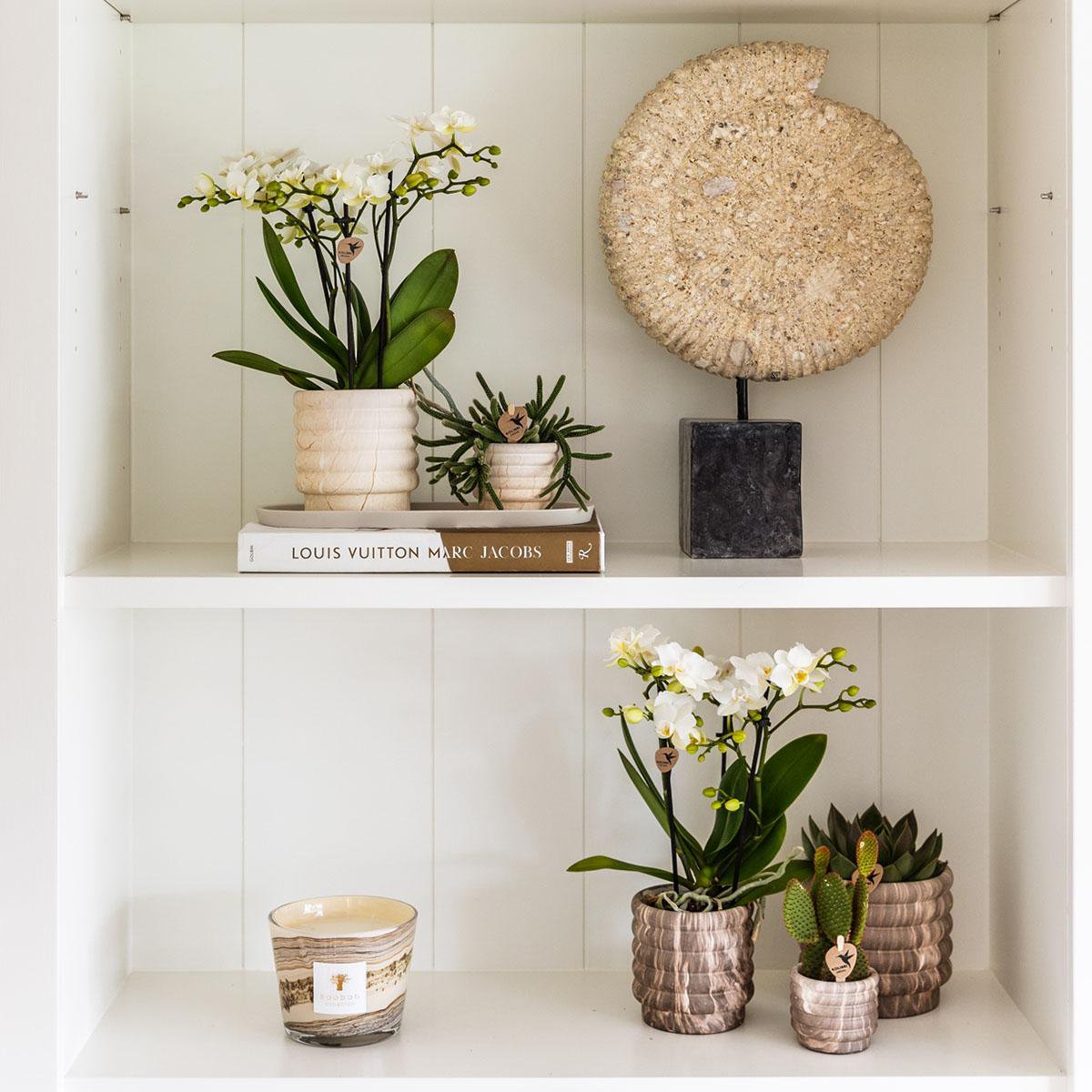 Marble Light bloempot voor orchidee – keramische sierpot Ø9 cm
