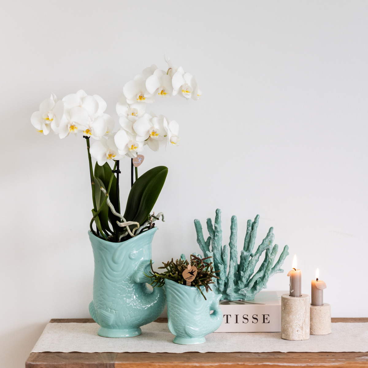 Turquoise Fish bloempot voor orchidee – keramische sierpot Ø9 cm