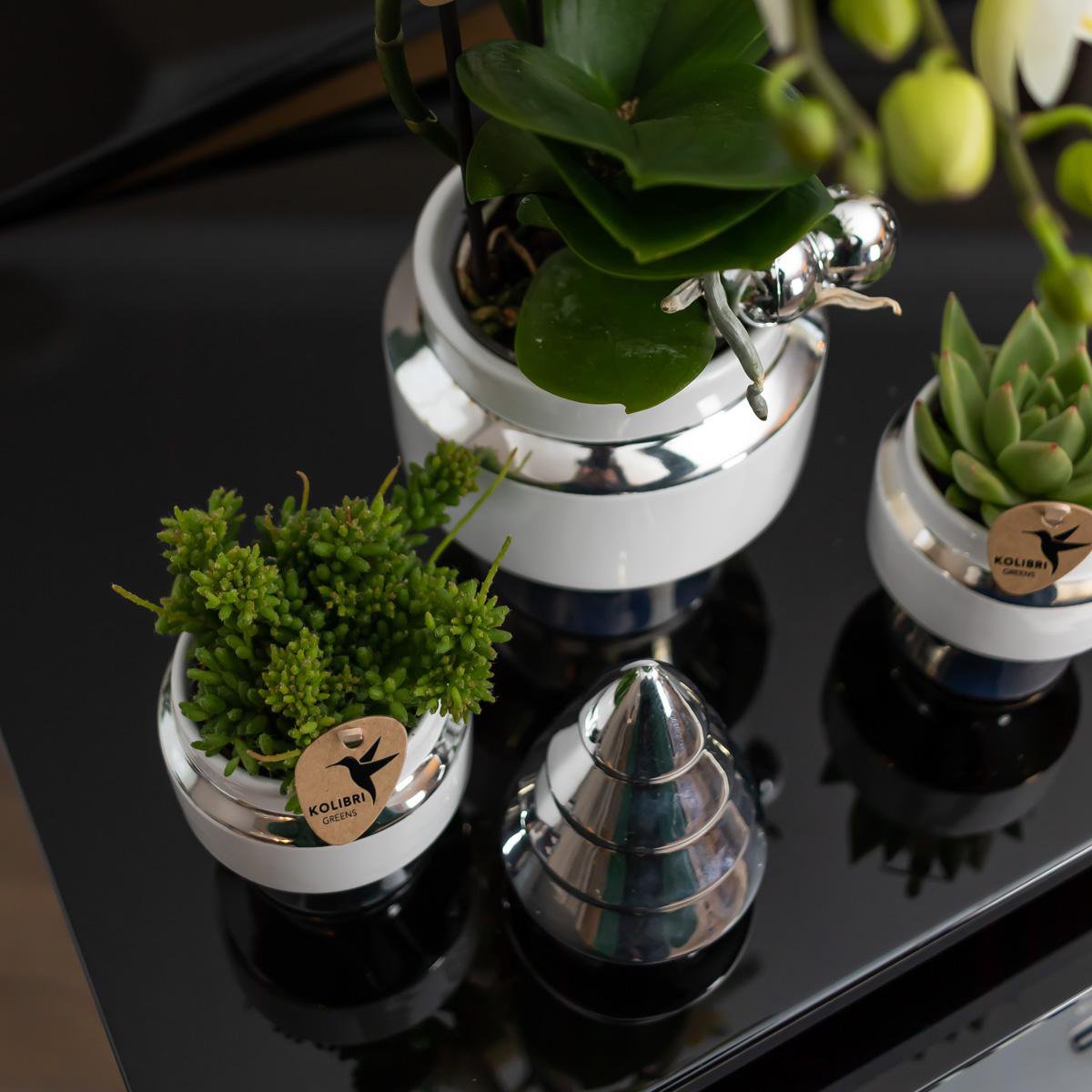 Witte Le Chic bloempot voor orchidee – keramische sierpot Ø9 cm