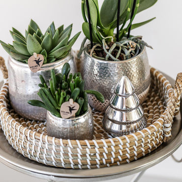 Zilveren Elite bloempot voor orchidee – keramische sierpot Ø9 cm