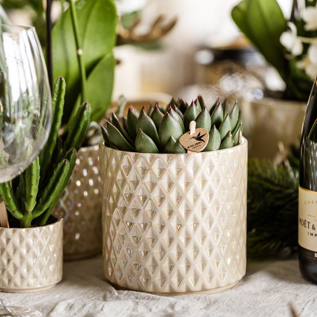 Travertine Diamond Pearl bloempot voor orchidee – keramische sierpot Ø9 cm