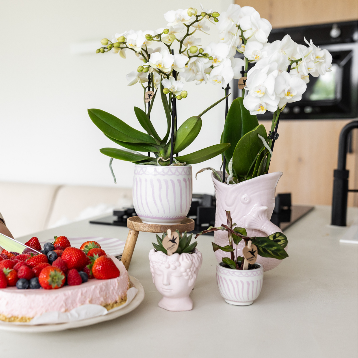 Roze Fish bloempot voor orchidee – keramische sierpot Ø9 cm
