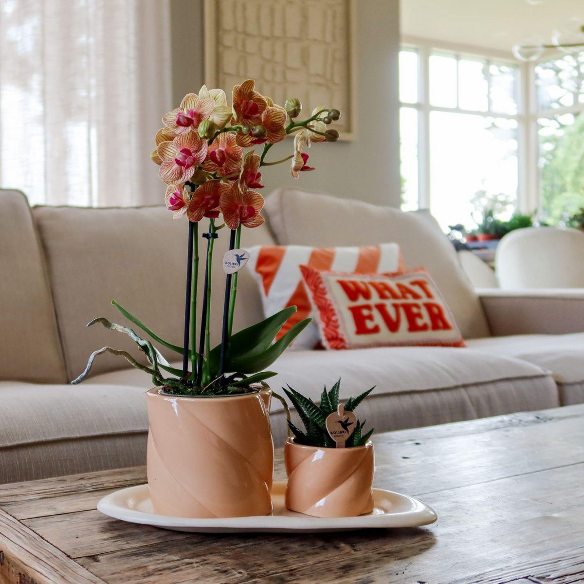 Perzikkleurige Candy bloempot voor orchidee – keramische sierpot Ø9 cm