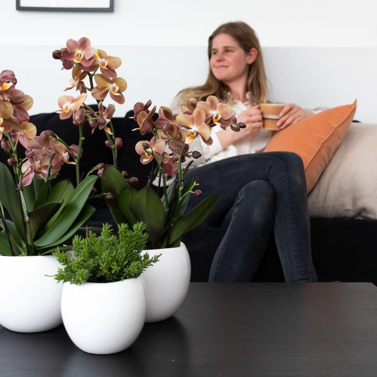 Witte Bowl bloempot voor orchidee – keramische sierpot Ø9 cm