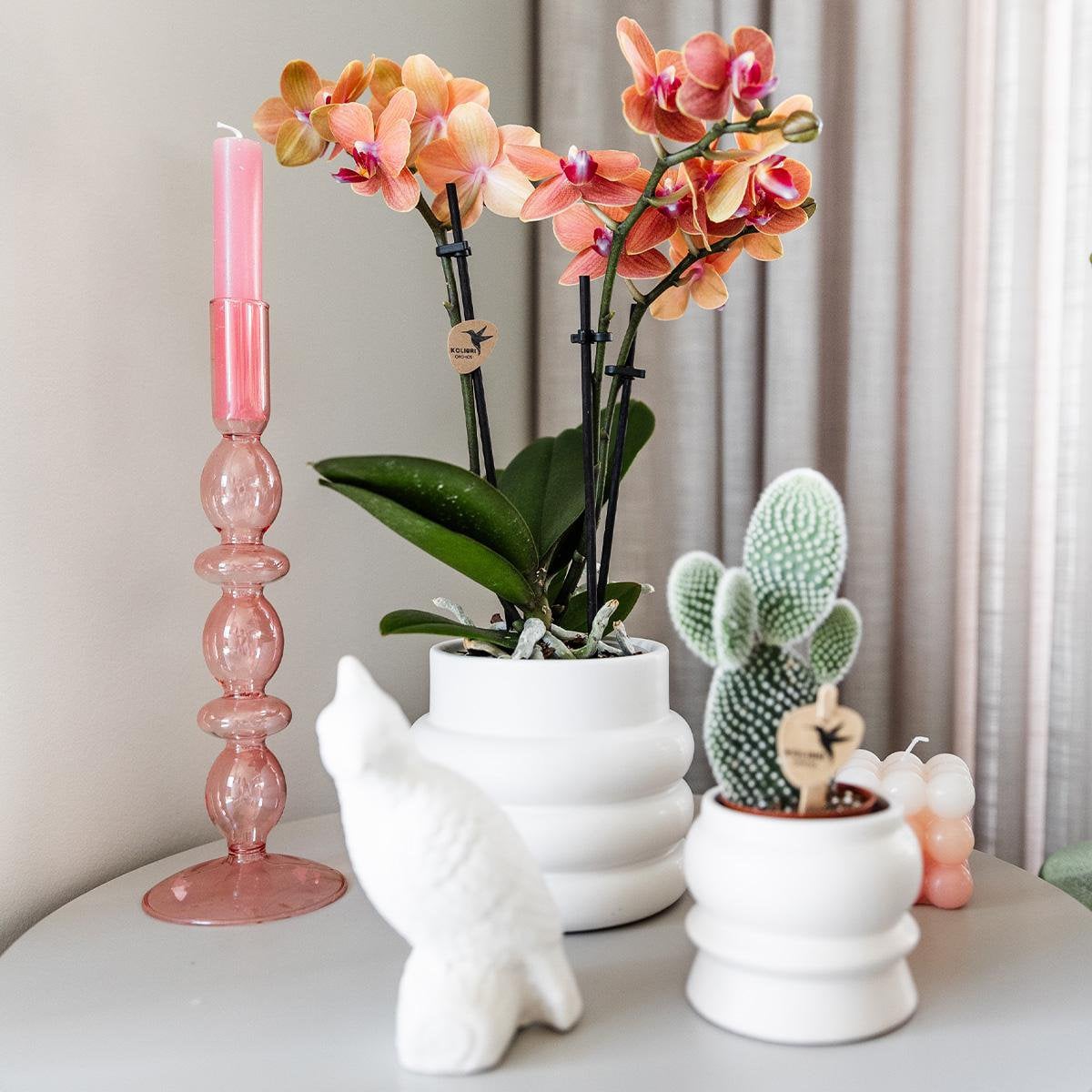 Witte Bubble bloempot voor orchidee – keramische sierpot Ø9 cm