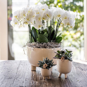 Travertine Gummy bloempot voor orchidee – keramische sierpot Ø9 cm