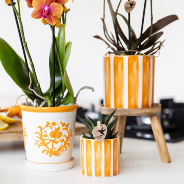 Oranje Painted Stripe bloempot voor orchidee – keramische sierpot Ø9 cm