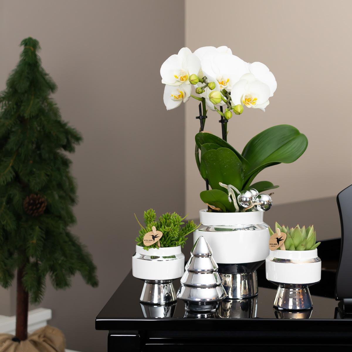 Witte Le Chic bloempot voor orchidee – keramische sierpot Ø9 cm
