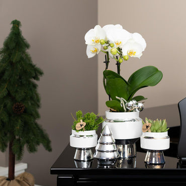Witte Le Chic bloempot voor orchidee – keramische sierpot Ø9 cm