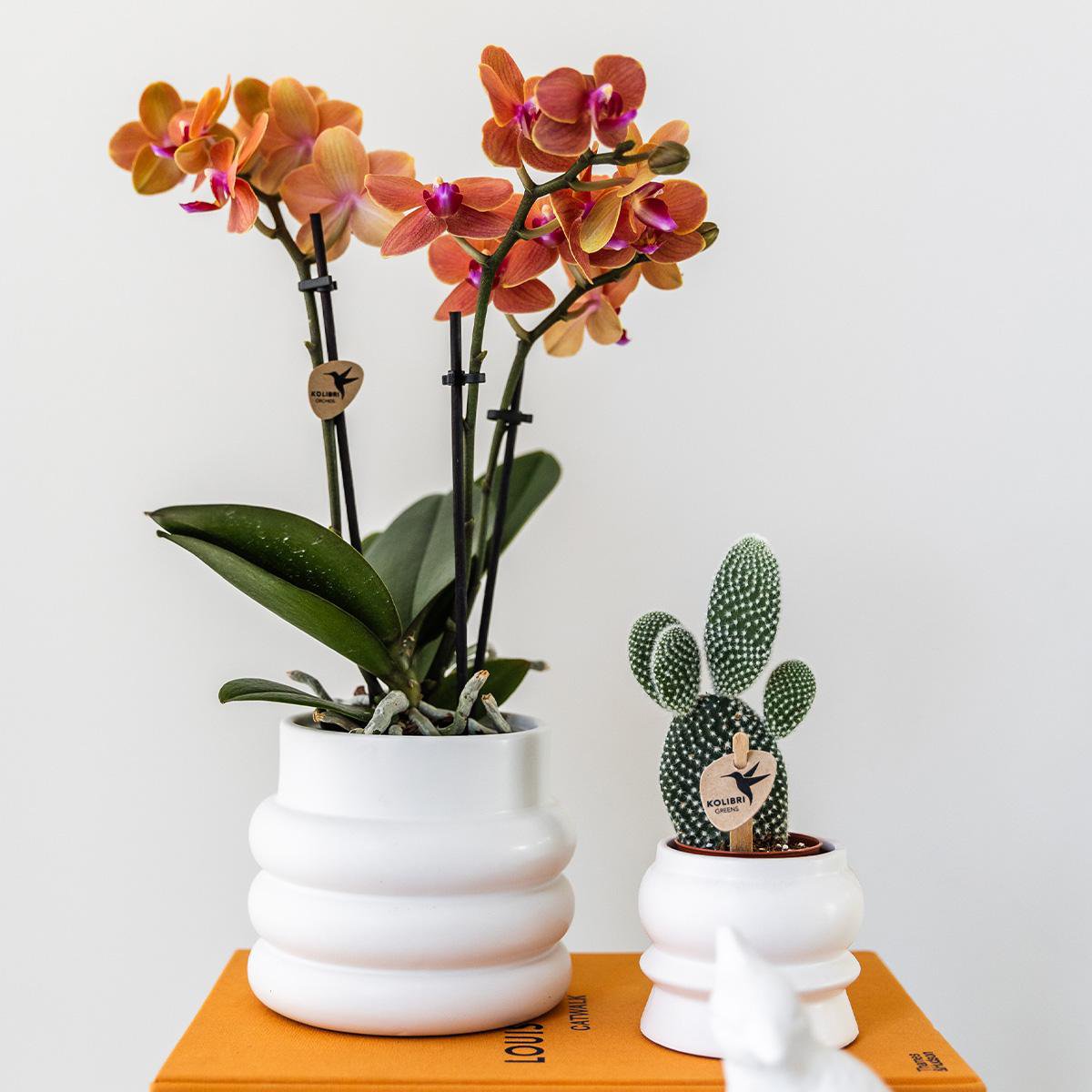 Witte Bubble bloempot voor orchidee – keramische sierpot Ø9 cm