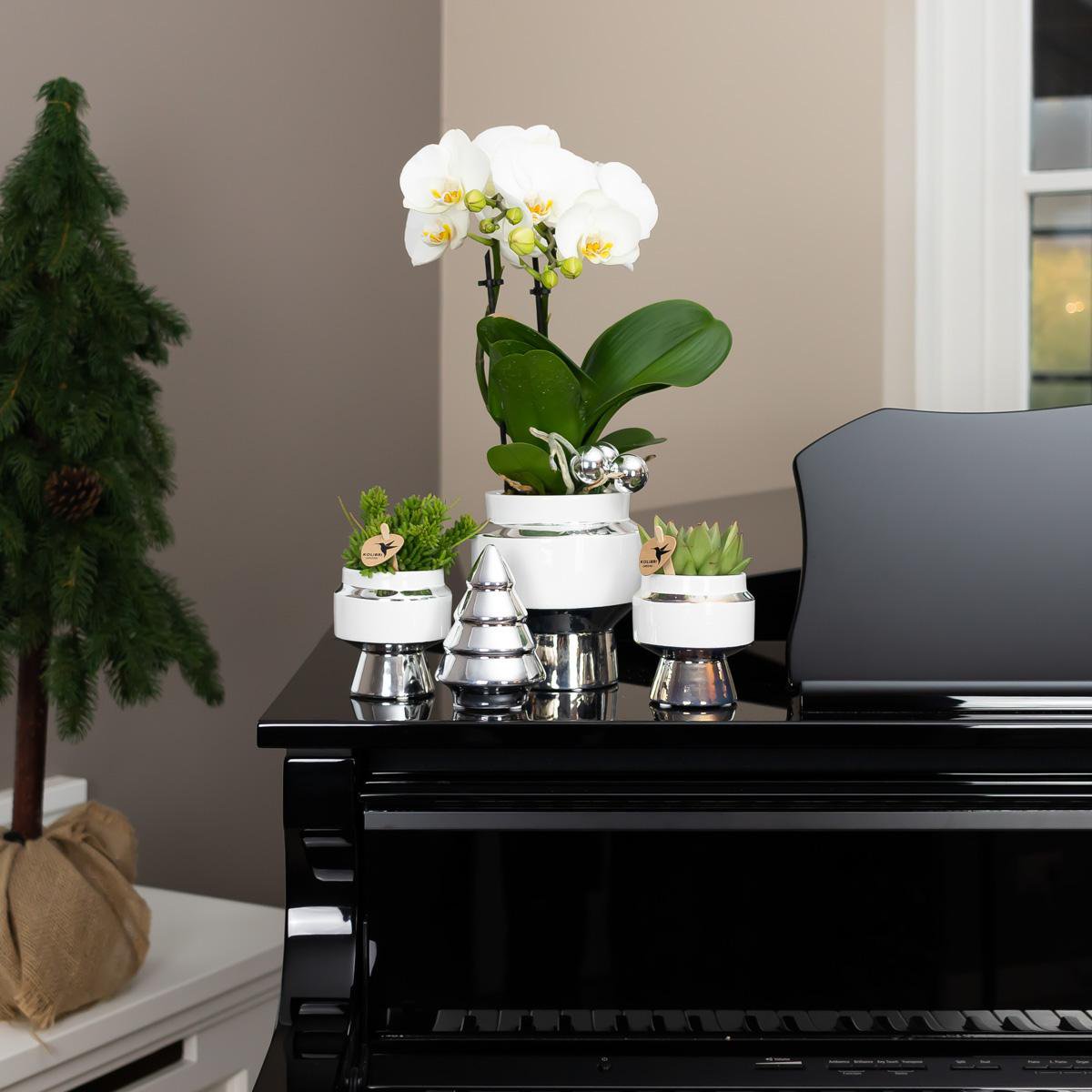 Witte Le Chic bloempot voor orchidee – keramische sierpot Ø9 cm