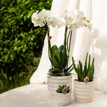 Marble Light bloempot voor orchidee – keramische sierpot Ø12 cm