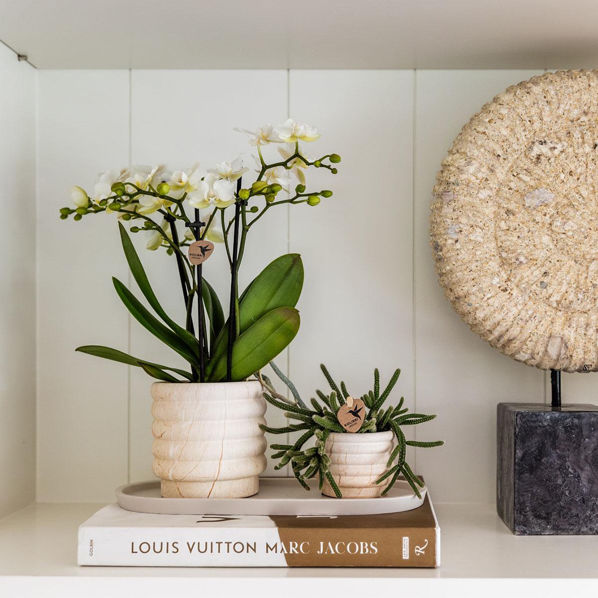 Marble Light bloempot voor orchidee – keramische sierpot Ø9 cm