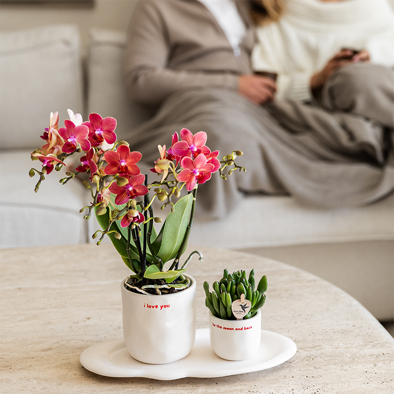 Witte To the Moon and Back bloempot voor orchidee – keramische sierpot Ø9 cm