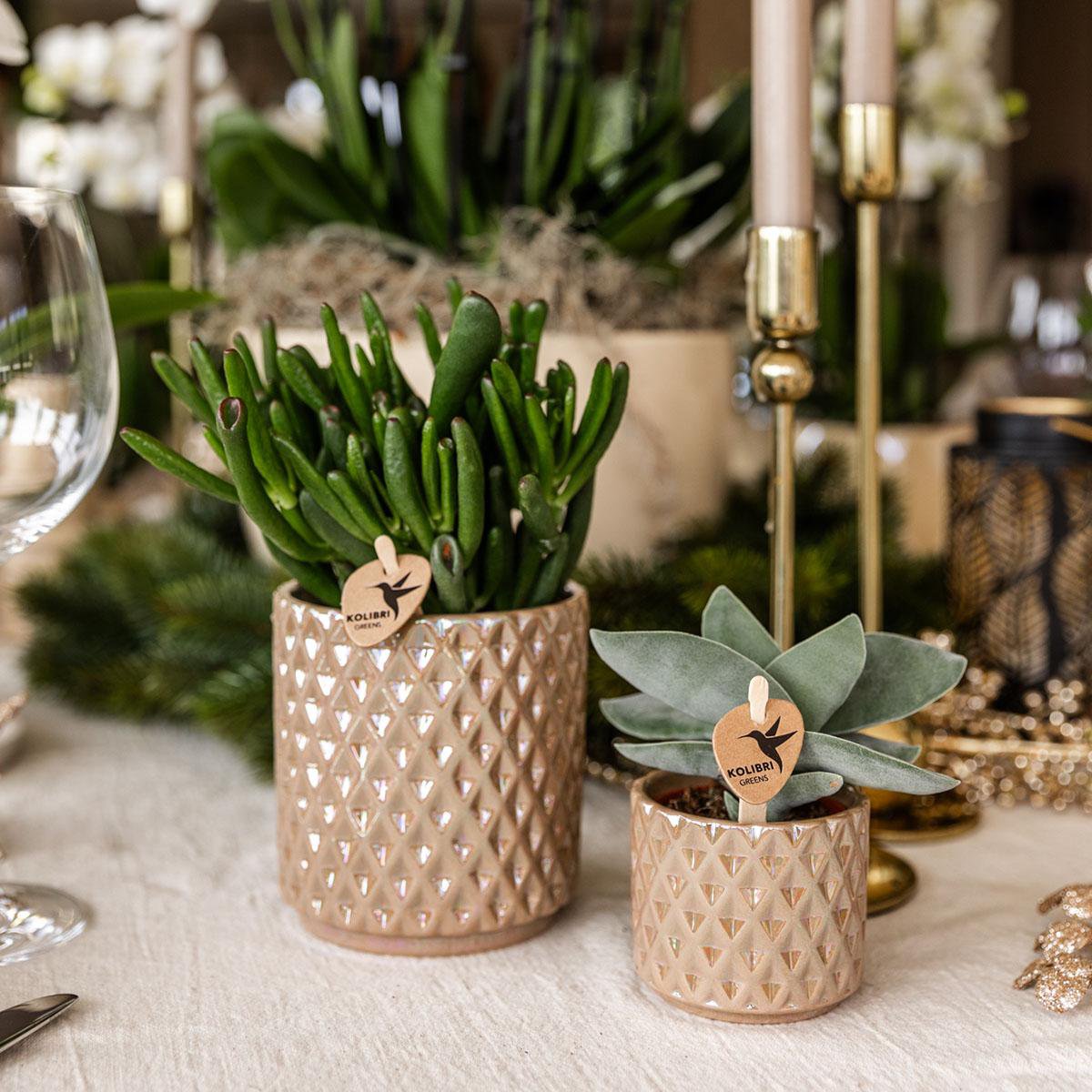 Zandkleurige Diamond Pearl bloempot voor orchidee – keramische sierpot Ø9 cm
