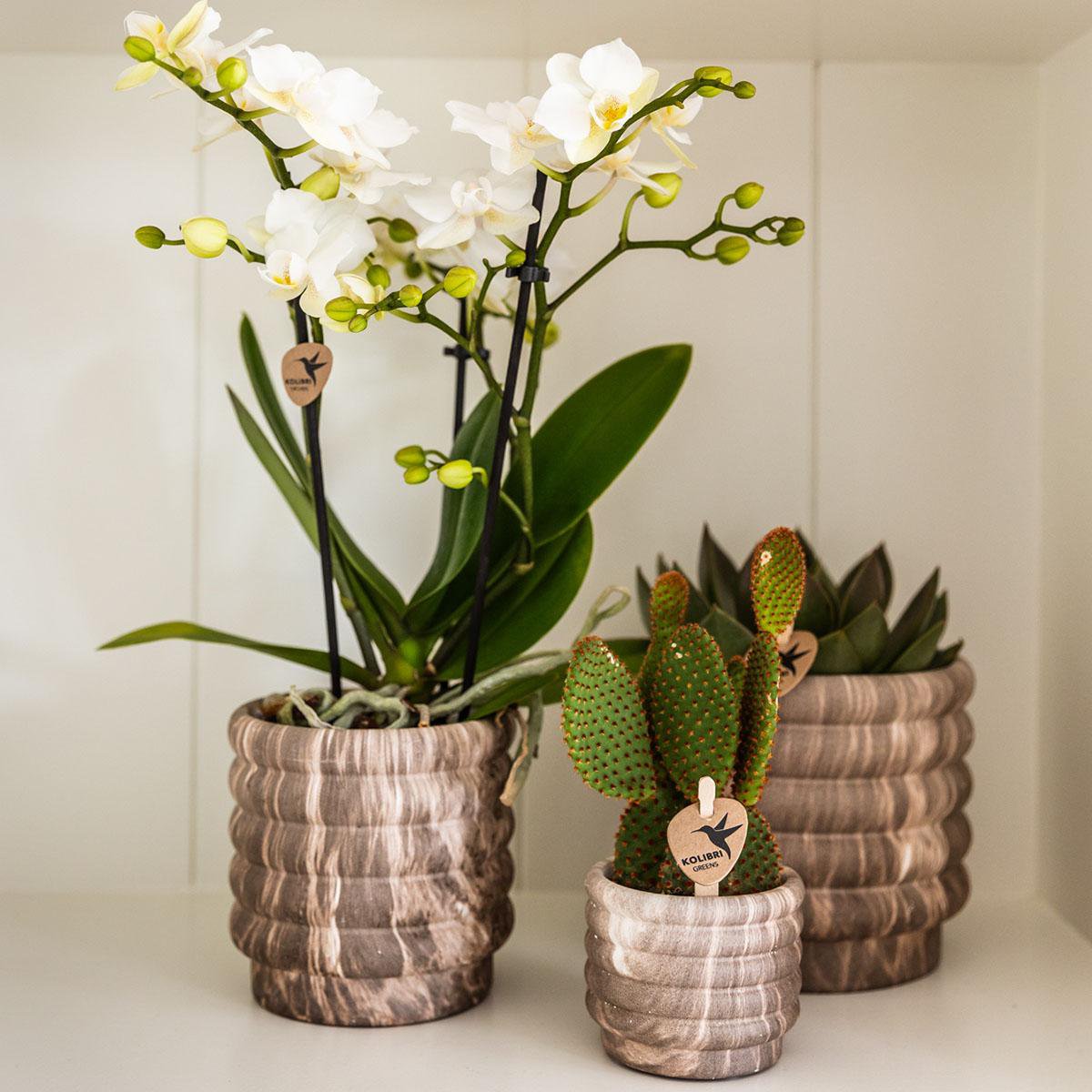 Marble Dark bloempot voor orchidee – keramische sierpot Ø9 cm