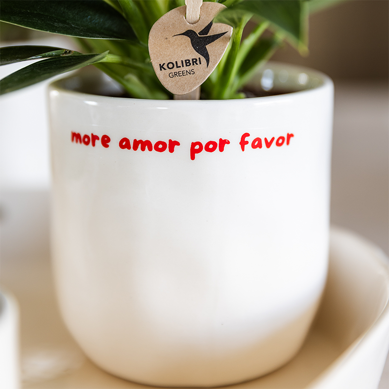 Witte To the Moon and Back bloempot voor orchidee – keramische sierpot Ø9 cm