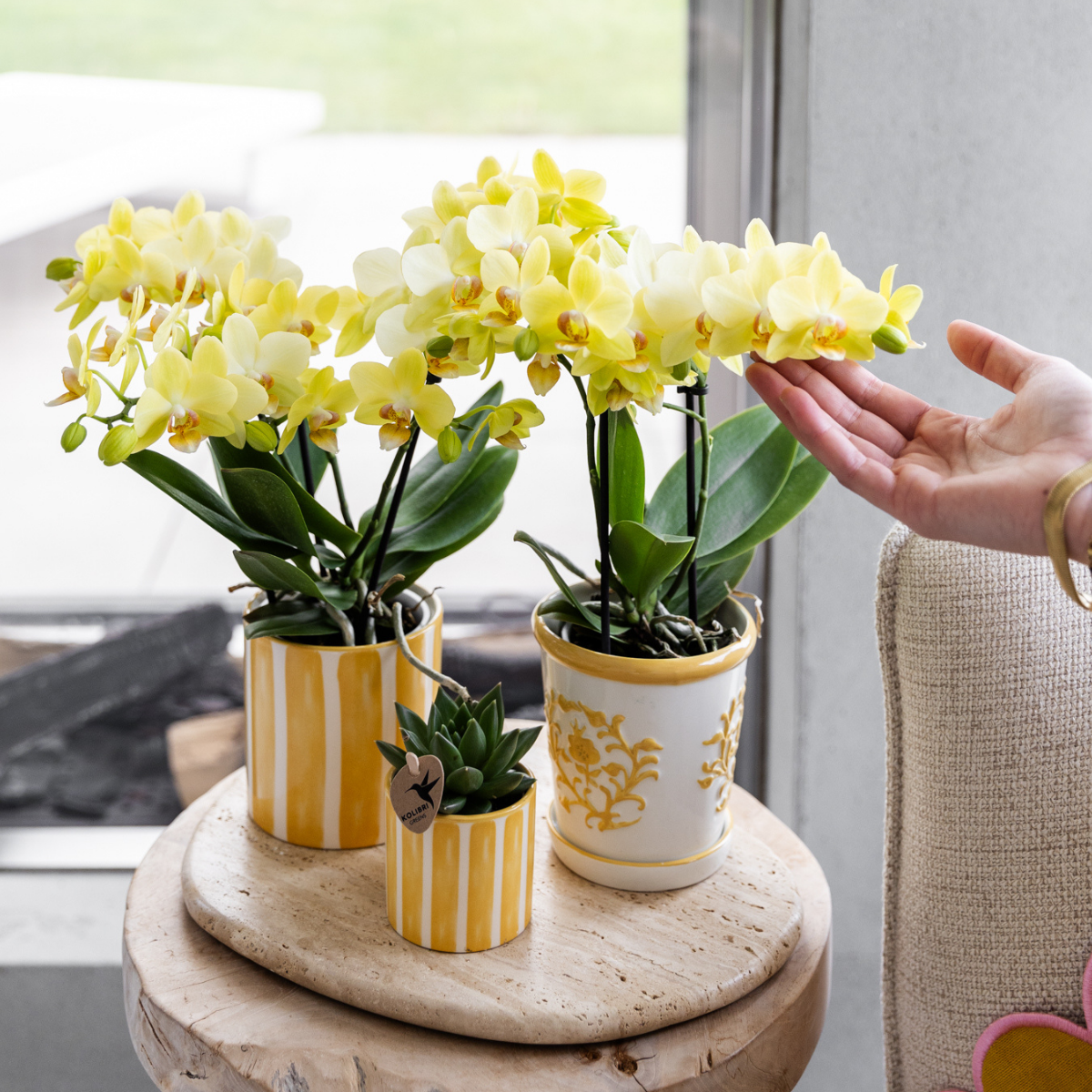 Gele Painted Stripe bloempot voor orchidee – keramische sierpot Ø9 cm