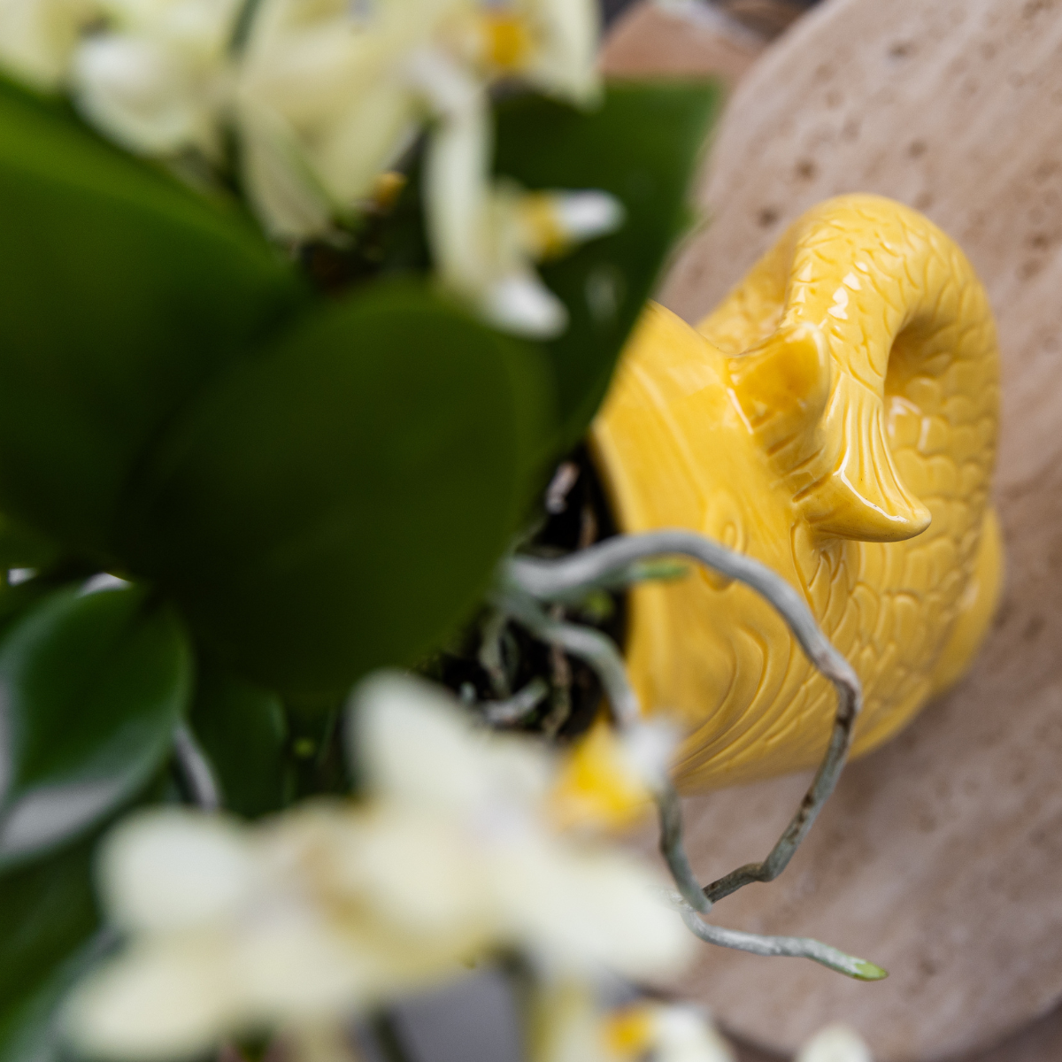 Gele Fish bloempot voor orchidee – keramische sierpot Ø9 cm