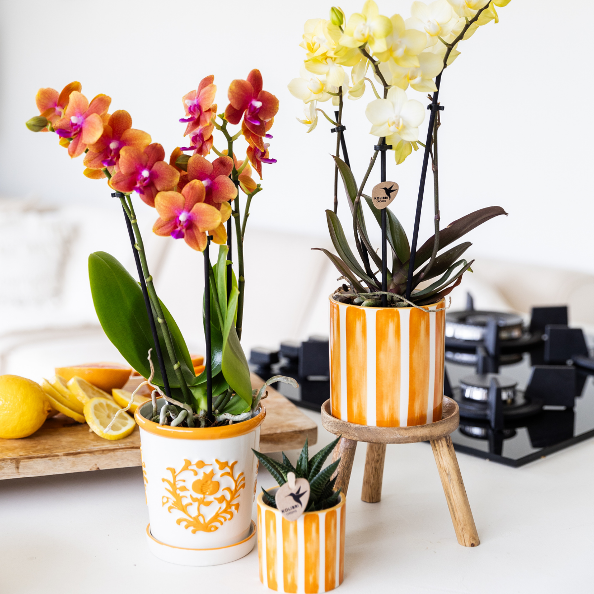 Oranje Malaga bloempot voor orchidee – keramische sierpot Ø9 cm