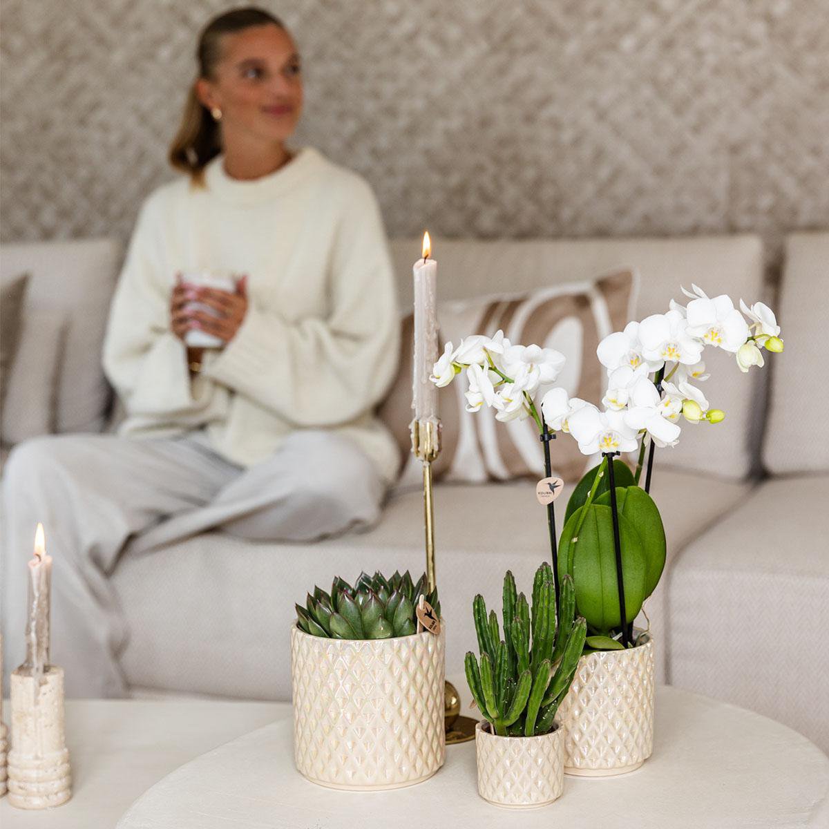 Travertine Diamond Pearl bloempot voor orchidee – keramische sierpot Ø9 cm
