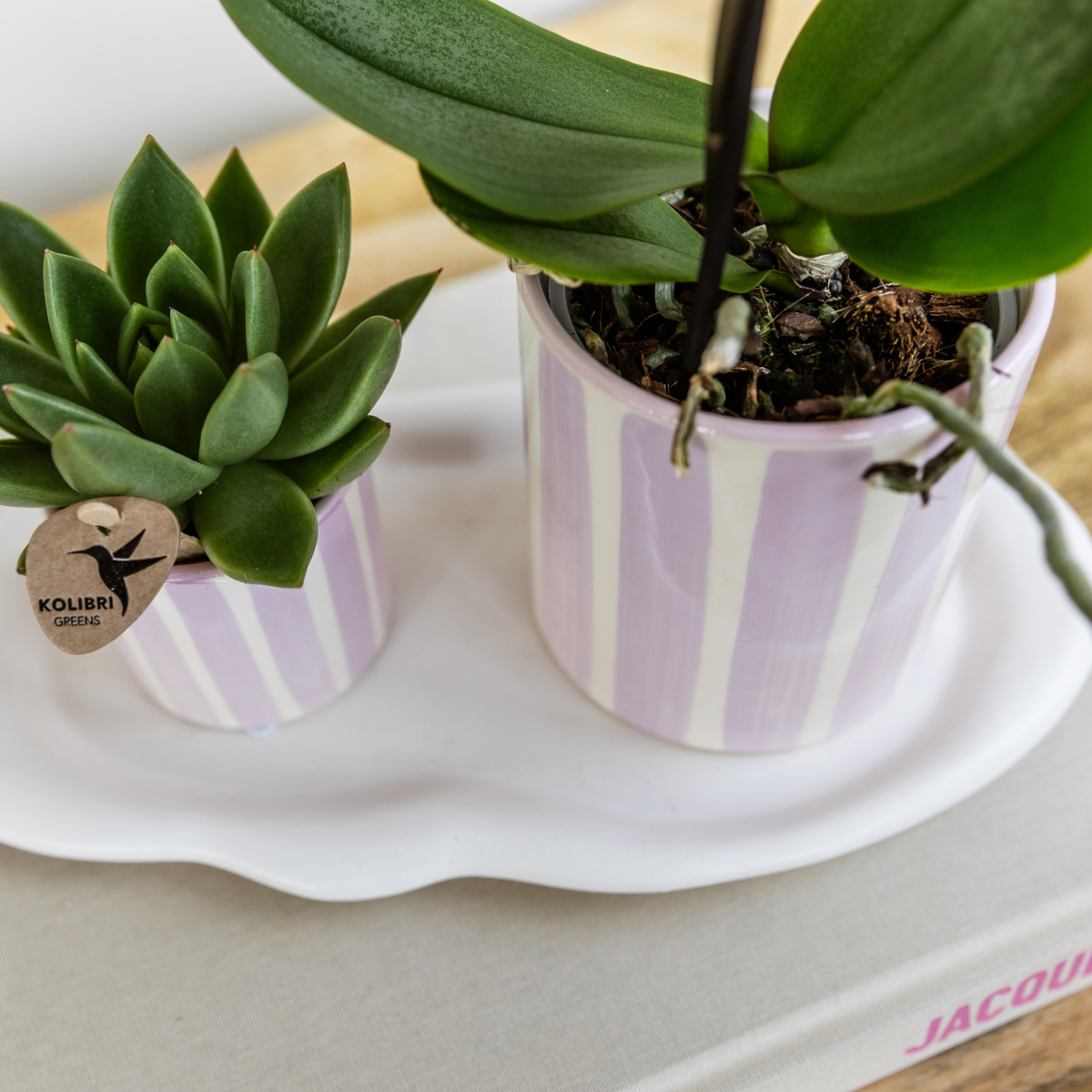 Roze Painted Stripe bloempot voor orchidee – keramische sierpot Ø9 cm