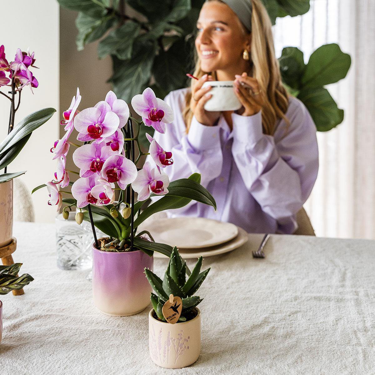 Paarse Gradience bloempot voor orchidee – keramische sierpot Ø9 cm