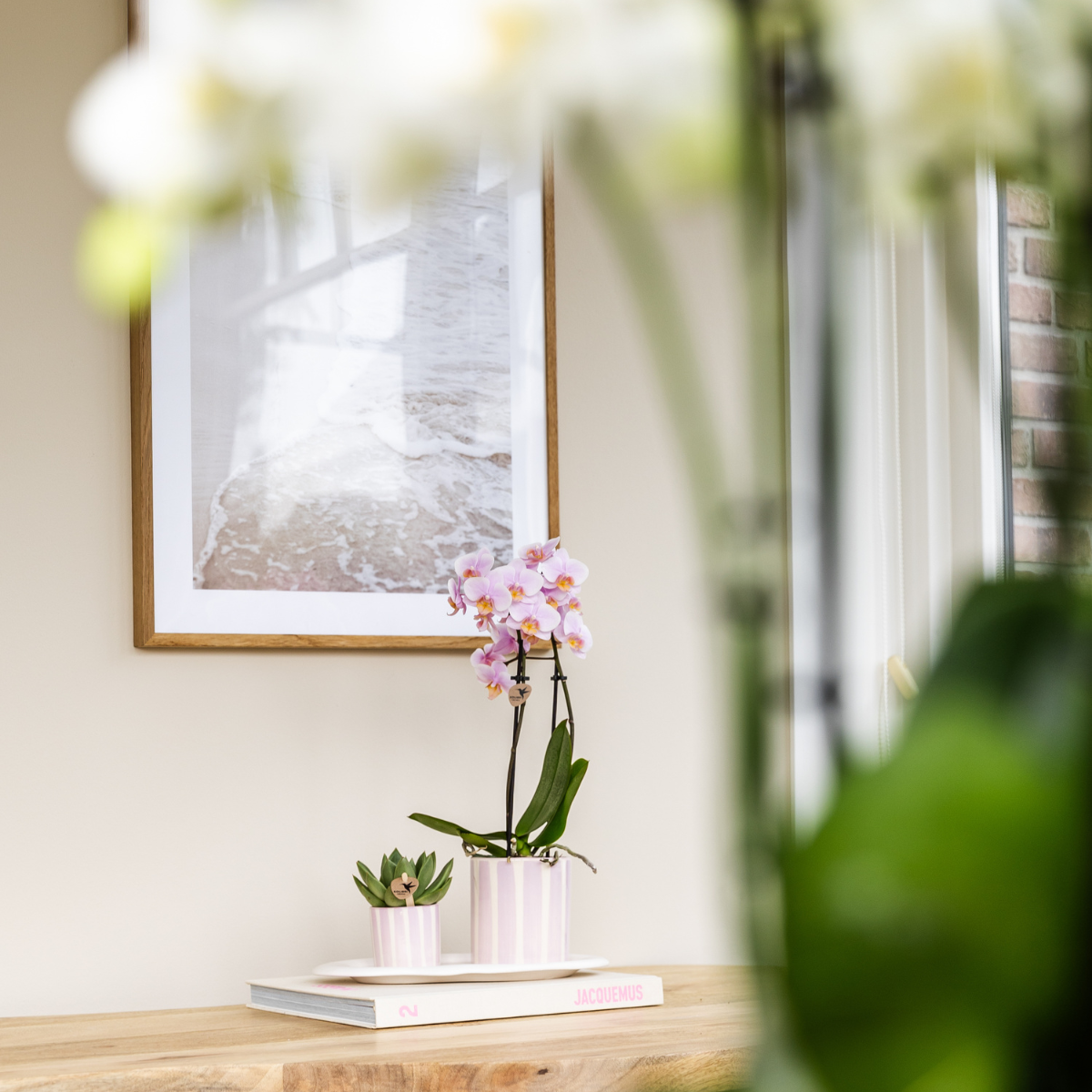 Roze Painted Stripe bloempot voor orchidee – keramische sierpot Ø9 cm