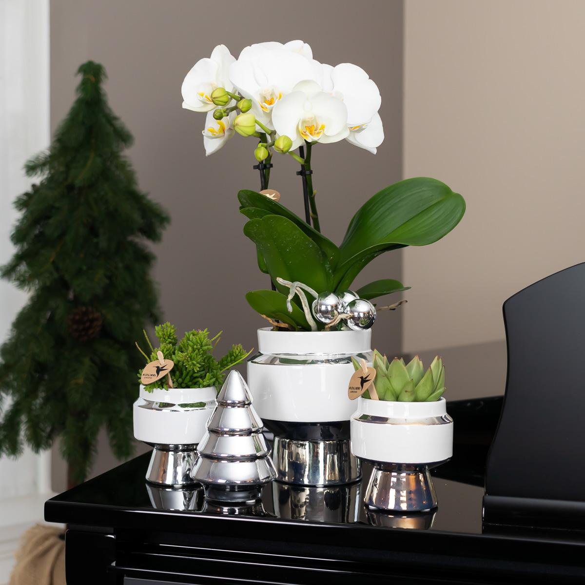 Witte Le Chic bloempot voor orchidee – keramische sierpot Ø9 cm