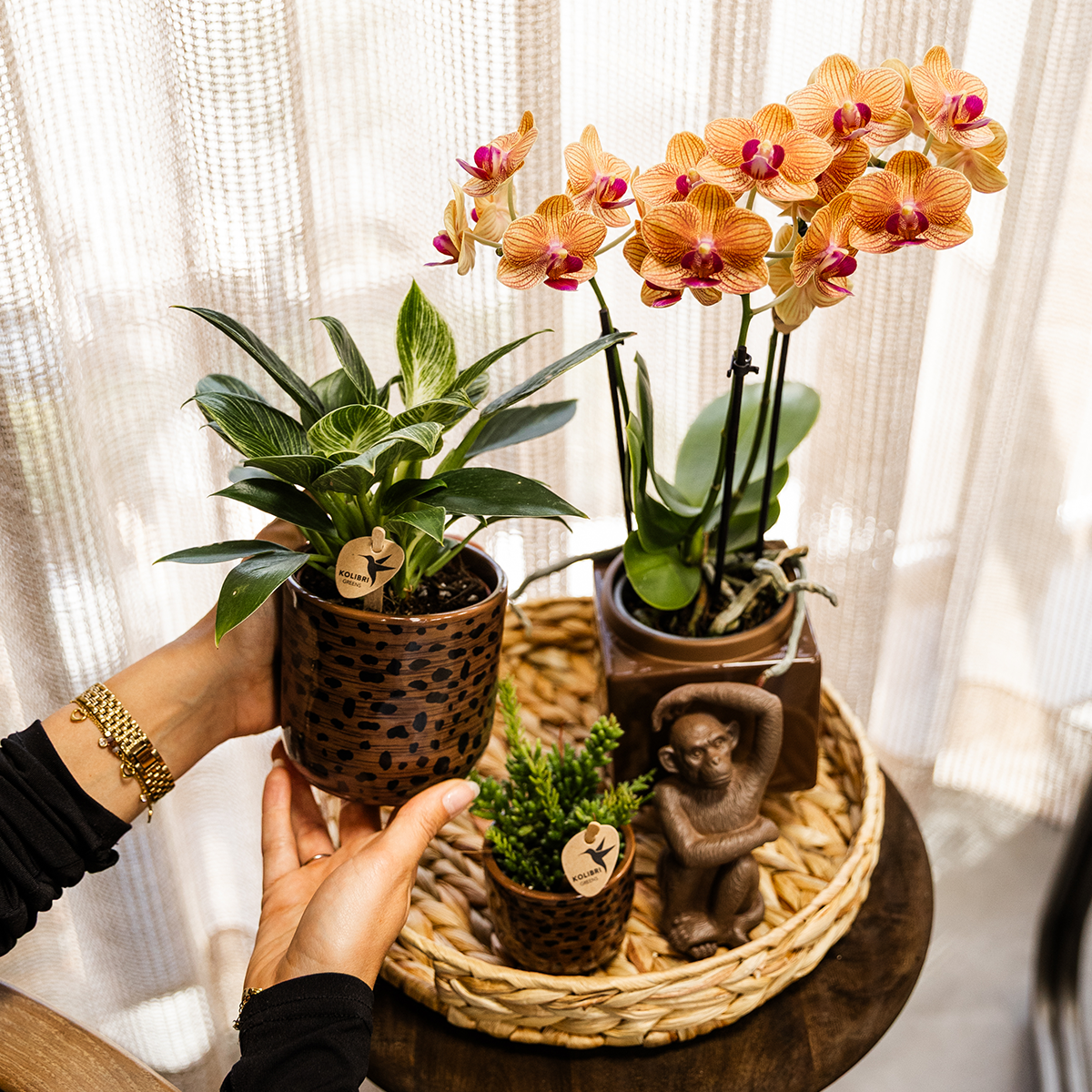 Bruine Leopard bloempot voor orchidee – keramische sierpot Ø9 cm