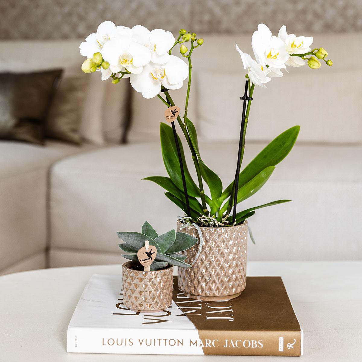 Zandkleurige Diamond Pearl bloempot voor orchidee – keramische sierpot Ø9 cm