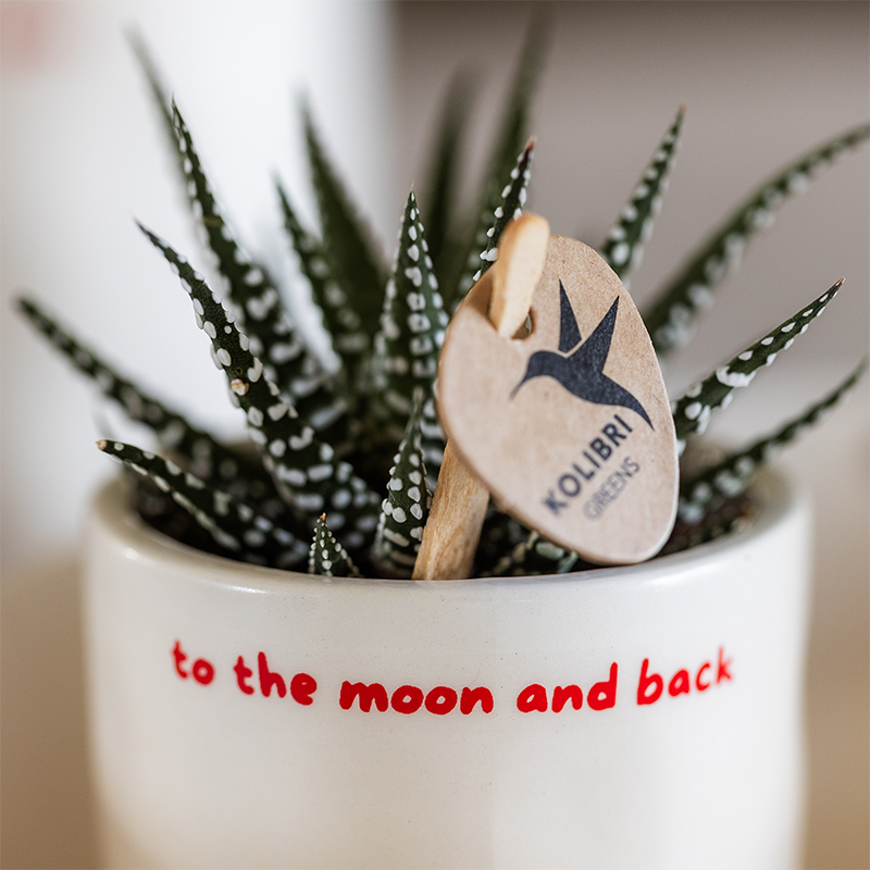 Witte To the Moon and Back bloempot voor orchidee – keramische sierpot Ø9 cm