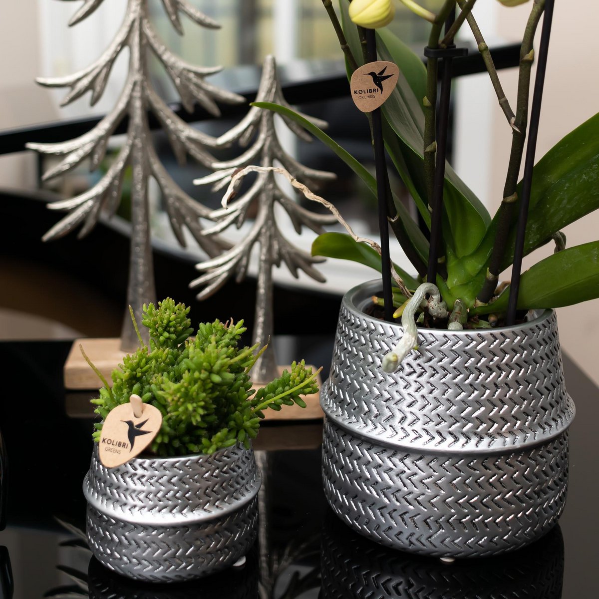 Zilveren Groove bloempot voor orchidee – keramische sierpot Ø9 cm