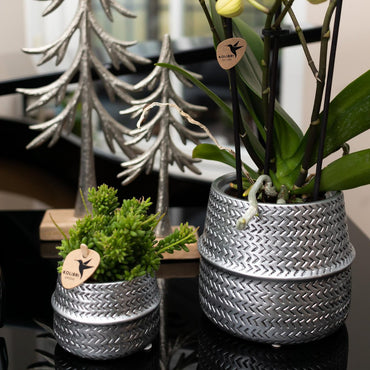 Zilveren Groove bloempot voor orchidee – keramische sierpot Ø9 cm