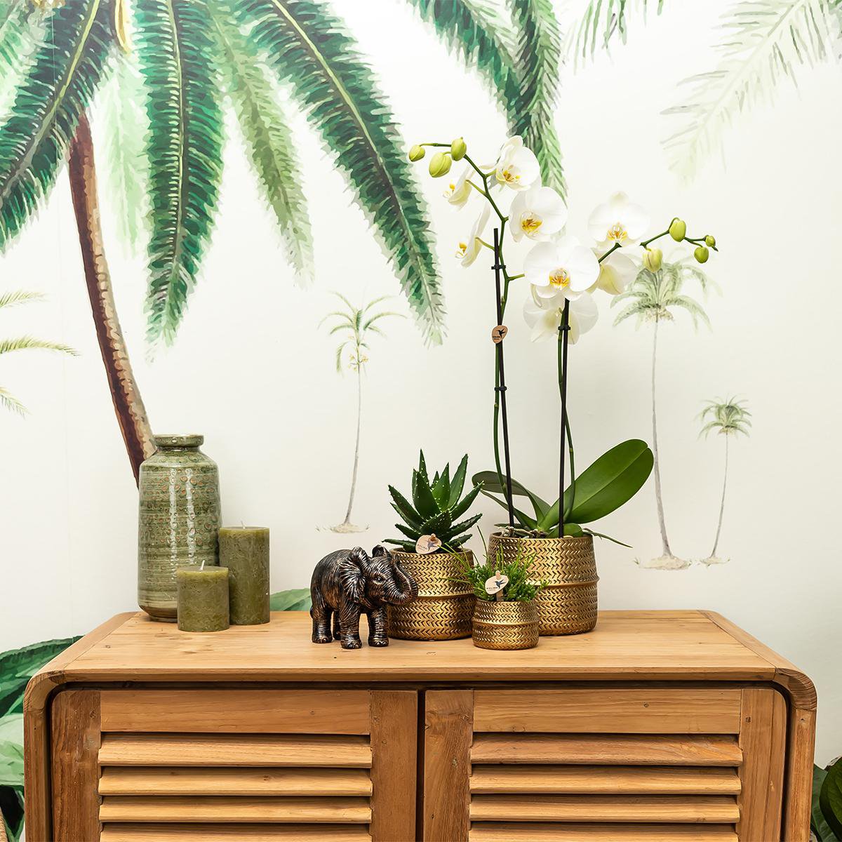Gouden Groove bloempot voor orchidee – keramische sierpot Ø12 cm