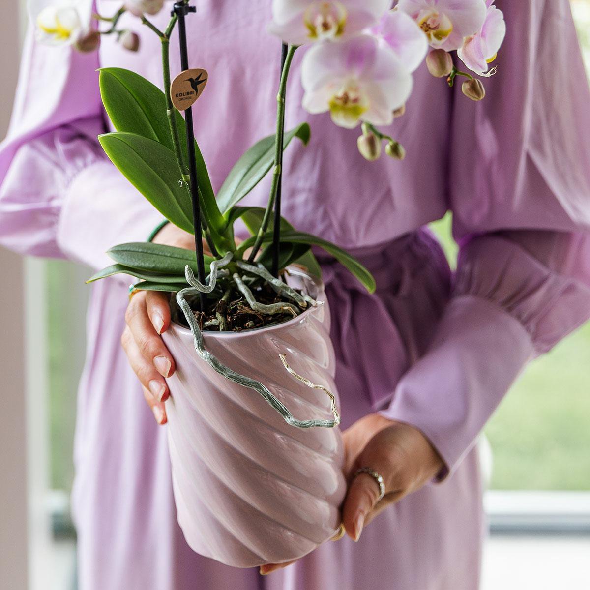 Roze Candy bloempot voor orchidee – hoge keramische sierpot Ø9 cm