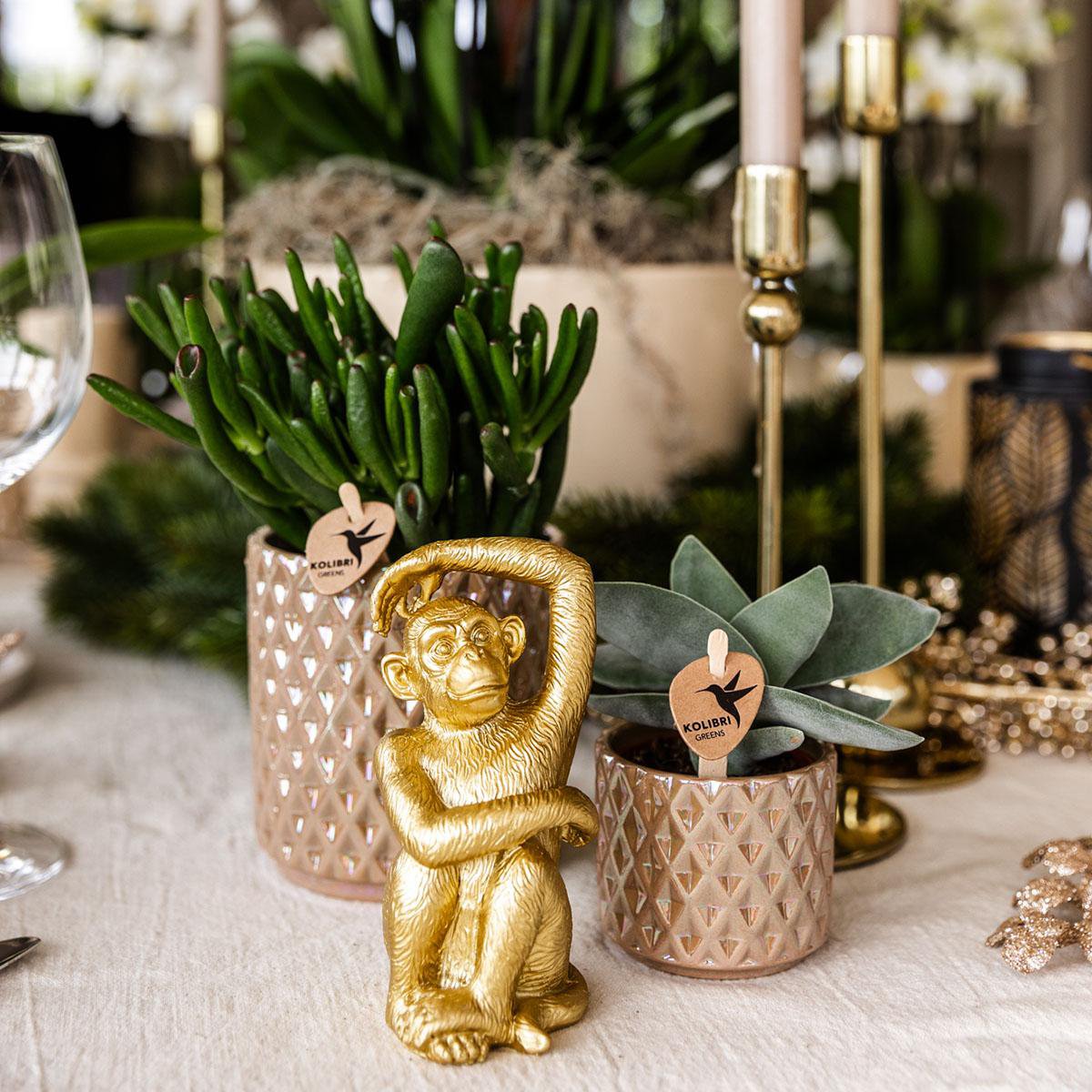 Zandkleurige Diamond Pearl bloempot voor orchidee – keramische sierpot Ø9 cm
