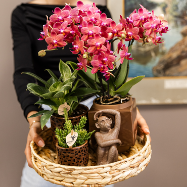 Bruine Leopard bloempot voor orchidee – keramische sierpot Ø9 cm